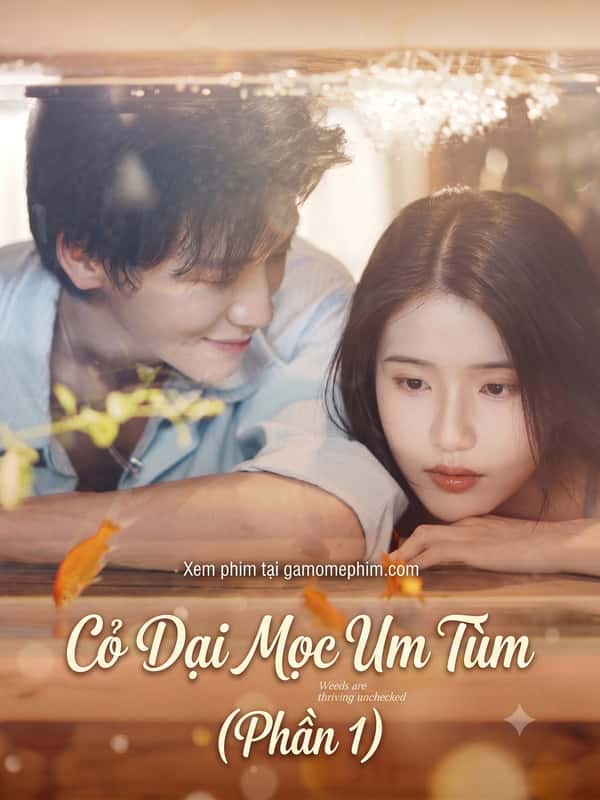 Phần 1 - Cỏ Dại Mọc Um Tùm