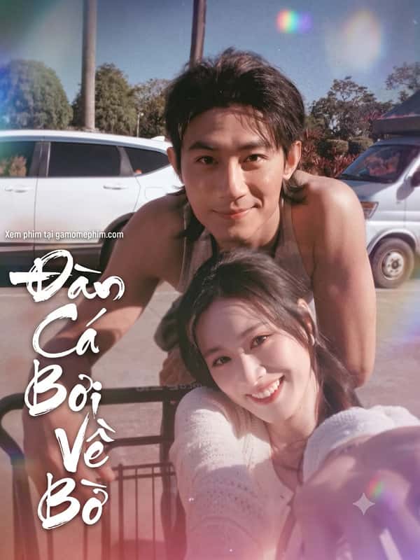 Đàn Cá Bơi Về Bờ