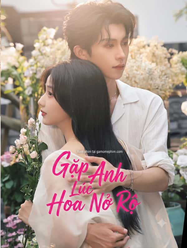 Gặp Anh Lúc Hoa Nở Rộ