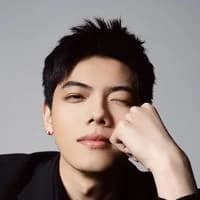 Diễn viên Tung Đào (淞涛)