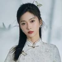 Diễn viên 赵诗意
