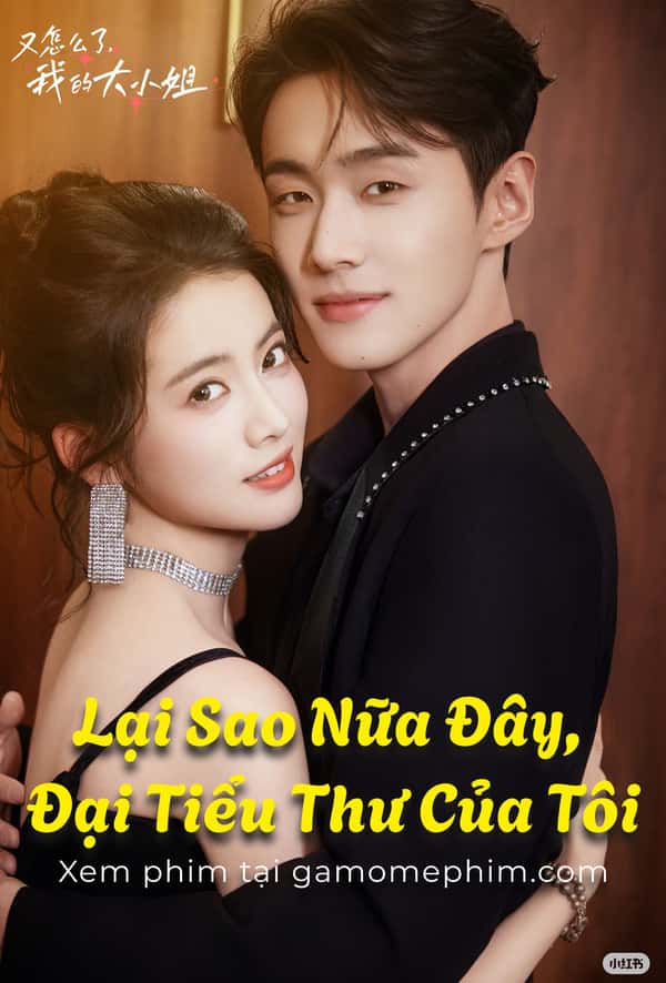 Lại Sao Nữa Đây, Đại Tiểu Thư Của Tôi