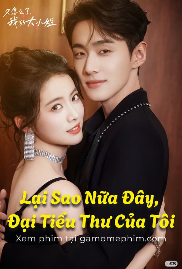 Lại Sao Nữa Đây, Đại Tiểu Thư Của Tôi