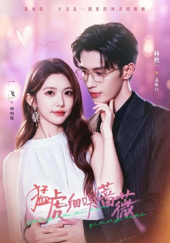 Trong tim có mãnh hổ, mà khẽ ngửi tường vi (Nhất Phi&Lâm Thu Nhất)